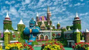 Guest Snapshot