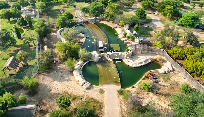 Dubai Green Planet