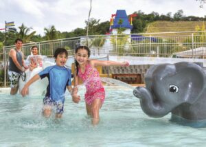 Guest Snapshot