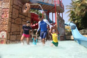 Guest Snapshot