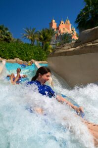 Guest Snapshot