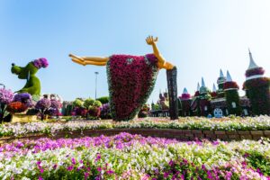 Guest Snapshot