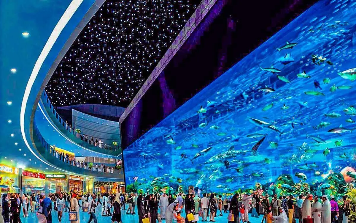Interactive experiences