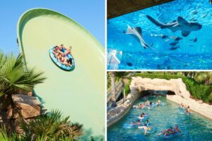 Guest Snapshot