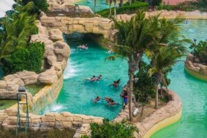 Guest Snapshot