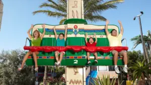 Guest Snapshot