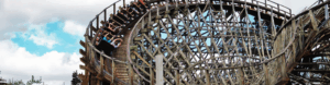 Guest Snapshot