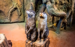 Guest Snapshot