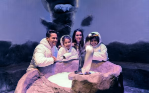 Guest Snapshot